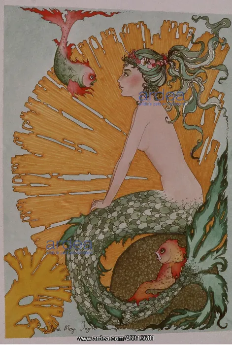 : MERMAID - PAINTING : MERMAID - PAINTING