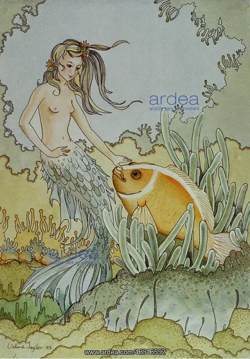 : MERMAID PAINTING - THE GREETING : MERMAID PAINTING - THE GREETING