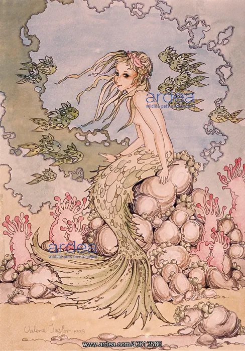 : MERMAID PAINTING - SITTING ON ROCKS : MERMAID PAINTING - SITTING ON ROCKS