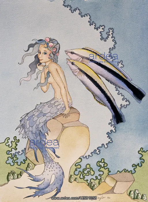 : MERMAID PAINTING - 'SUPRISE' : MERMAID PAINTING - 'SUPRISE'