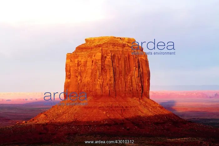 : Merrick Butte : Merrick Butte