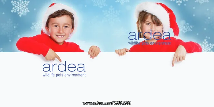 : Merry Christmas Christmas Card Card Children Father : Merry Christmas Christmas Card Card Children Father