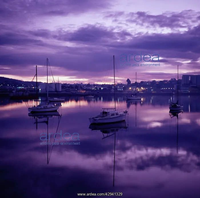 : Mersey River at dusk. Devonport, Tasmania, Australia : Mersey River at dusk. Devonport, Tasmania, Australia