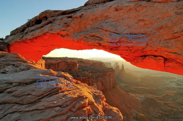  : Mesa Arch in the break of dawn, Canyonlands National