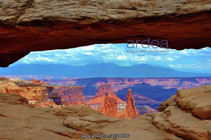  : Mesa Arch, Canyonlands National Park
