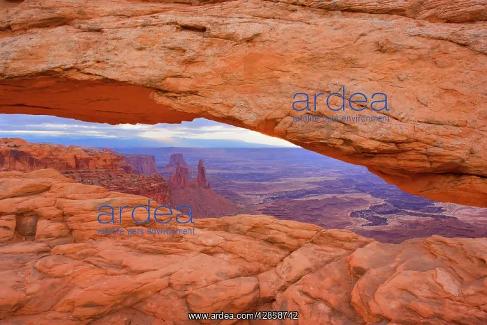 : Mesa Arch - View through Mesa Arch into the maze : Mesa Arch - View through Mesa Arch into the maze