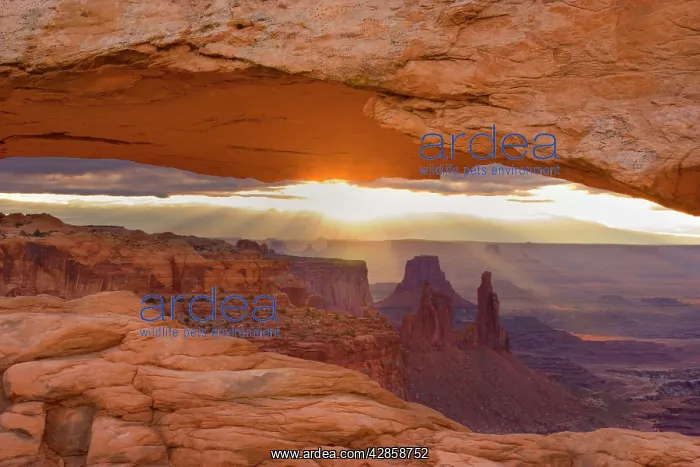 : Mesa Arch - View through Mesa Arch into the maze : Mesa Arch - View through Mesa Arch into the maze