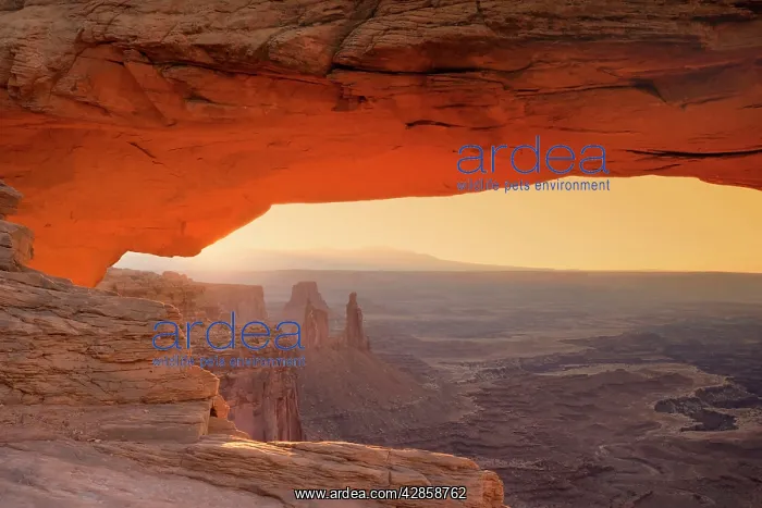 : Mesa Arch - View through Mesa Arch into the maze : Mesa Arch - View through Mesa Arch into the maze