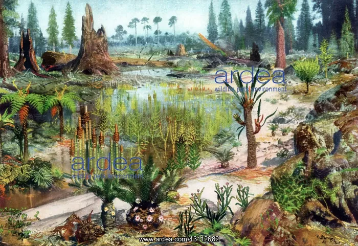 : Mesozoic Landscape : Mesozoic Landscape