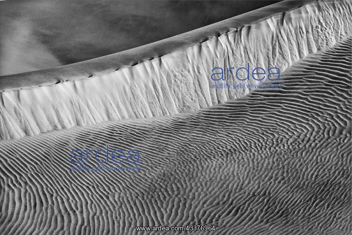 : Mesquite Dunes, Death Valley National Park, California : Mesquite Dunes, Death Valley National Park, California