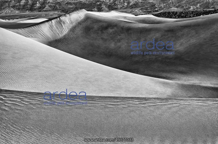 : Mesquite Dunes, Death Valley National Park, California : Mesquite Dunes, Death Valley National Park, California
