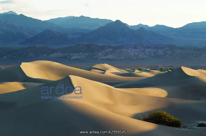 : Mesquite Flat Sand Dunes and Amargosa Range in : Mesquite Flat Sand Dunes and Amargosa Range in