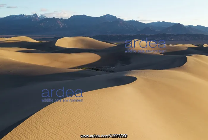 : Mesquite Flat Sand Dunes and Amargosa Range in : Mesquite Flat Sand Dunes and Amargosa Range in