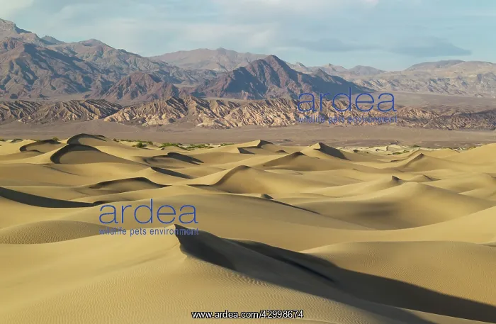 : Mesquite Flat Sand Dunes and Amargosa Range in : Mesquite Flat Sand Dunes and Amargosa Range in