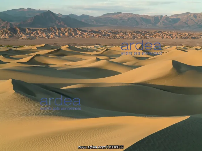: Mesquite Flat Sand Dunes and Amargosa Range in : Mesquite Flat Sand Dunes and Amargosa Range in