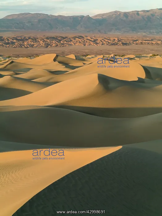 : Mesquite Flat Sand Dunes and Amargosa Range in : Mesquite Flat Sand Dunes and Amargosa Range in