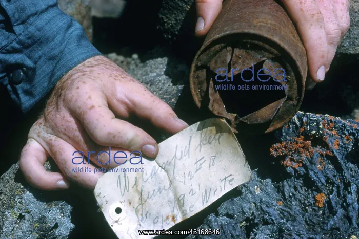 : Message in a Can Discovered in Lava Flow : Message in a Can Discovered in Lava Flow