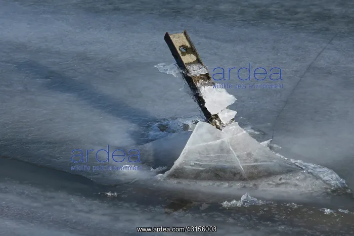 : Metal pole protrudes out of the ice, The Netherlands : Metal pole protrudes out of the ice, The Netherlands