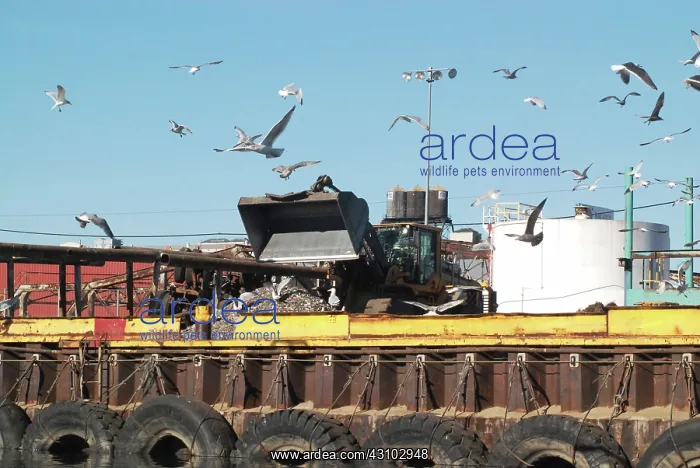 : Metal Recycling, newtown Creek, NYC : Metal Recycling, newtown Creek, NYC