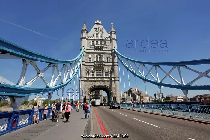 : Metalwork on Tower Bridge bascule bridge : Metalwork on Tower Bridge bascule bridge
