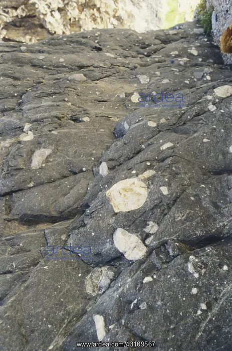 : Metamorphic Rock in Death Valley : Metamorphic Rock in Death Valley