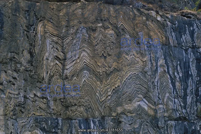 : Metamorphic Rocks : Metamorphic Rocks