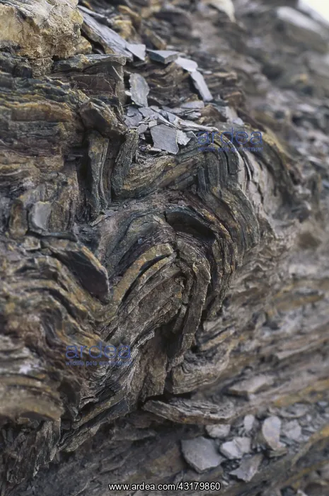 : Metamorphic Slate : Metamorphic Slate