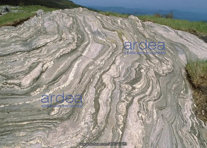 : Metamorphosed Rock : Metamorphosed Rock