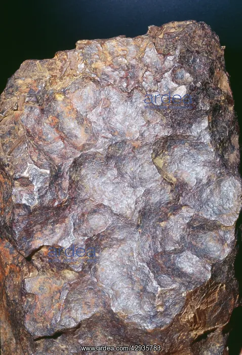 : Meteorite - The 'San Bernardino' : Meteorite - The 'San Bernardino'