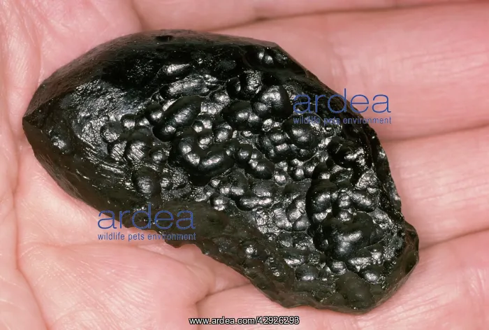  : Meteorite - Tektite, Indochinite