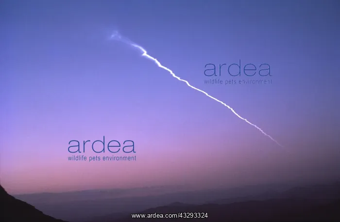 : Meteorite - Vapour Trail : Meteorite - Vapour Trail