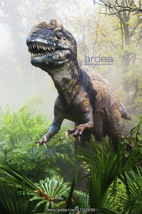 : Metriacanthosaurus : Metriacanthosaurus