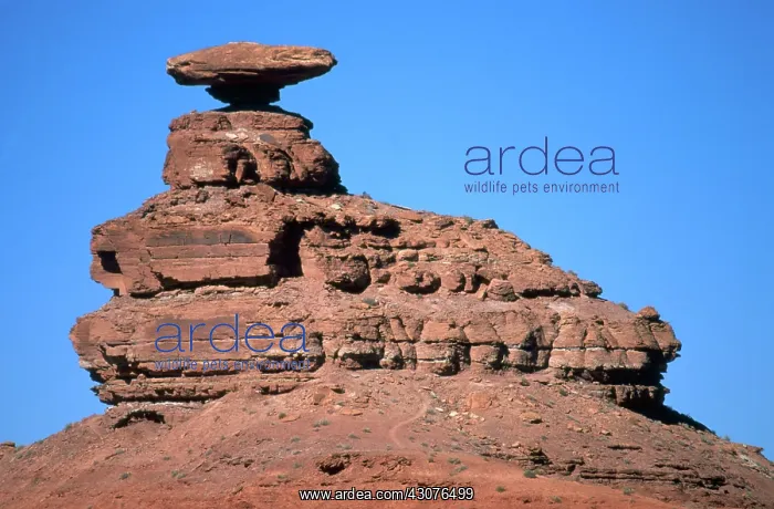 : Mexican Hat : Mexican Hat