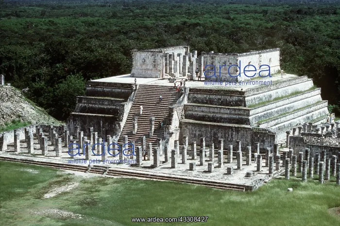 : Mexico, Chichen, Itza - Temple of the Warriors : Mexico, Chichen, Itza - Temple of the Warriors