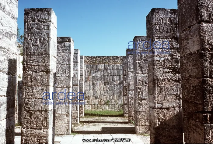 : Mexico, Chichen, Itza, - Temple of the Warriors : Mexico, Chichen, Itza, - Temple of the Warriors