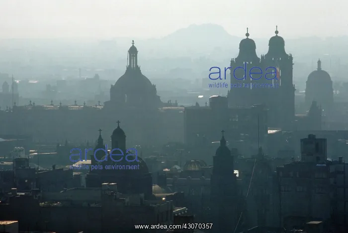  : Mexico City smog