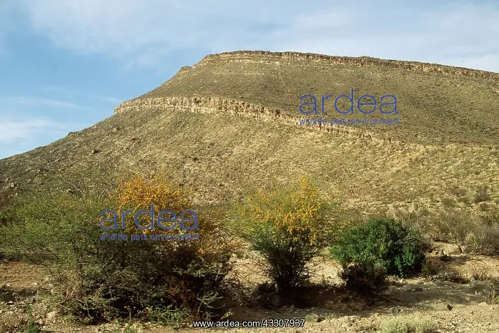 : MEXICO - KT Boundary in cliff : MEXICO - KT Boundary in cliff