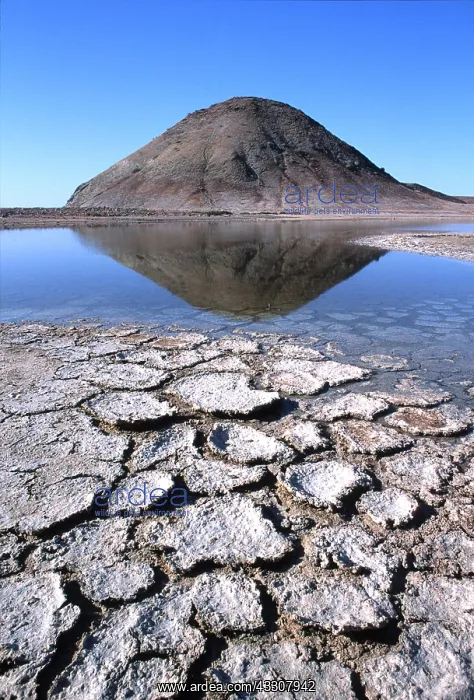 : Mexico - Living Stromatolites : Mexico - Living Stromatolites