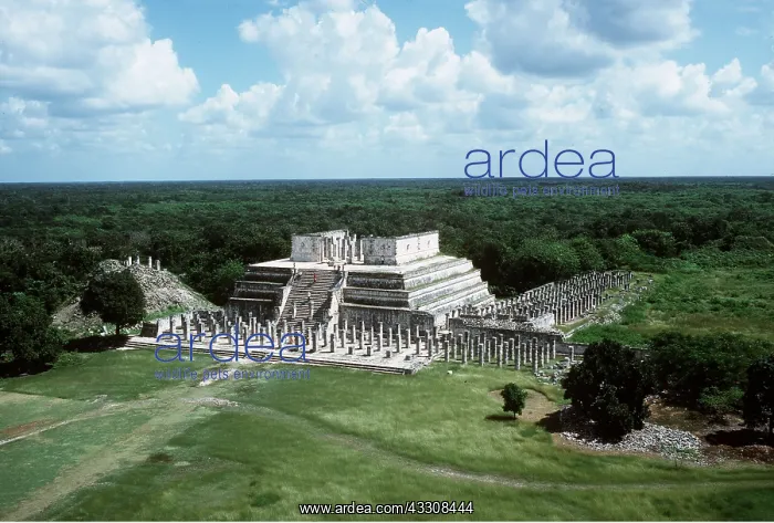 : MEXICO - Temple of the Warriors (Thousand Columns) : MEXICO - Temple of the Warriors (Thousand Columns)