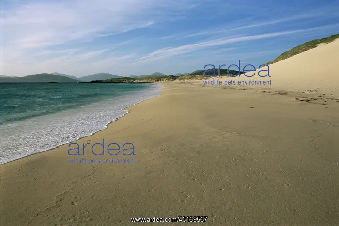 : Mhor Sands : Mhor Sands