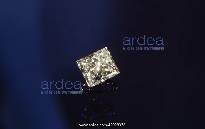 : Mi-Diamond : Mi-Diamond