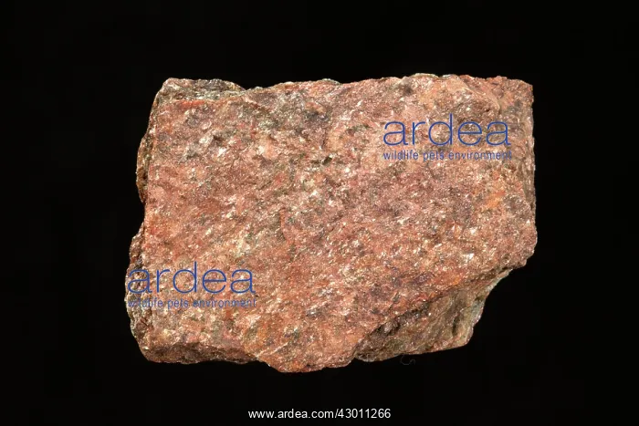 : Mica Schist : Mica Schist