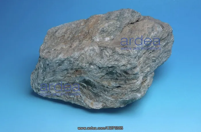 : Mica Schist : Mica Schist