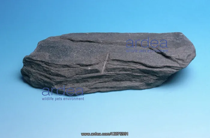 : Mica Schist : Mica Schist