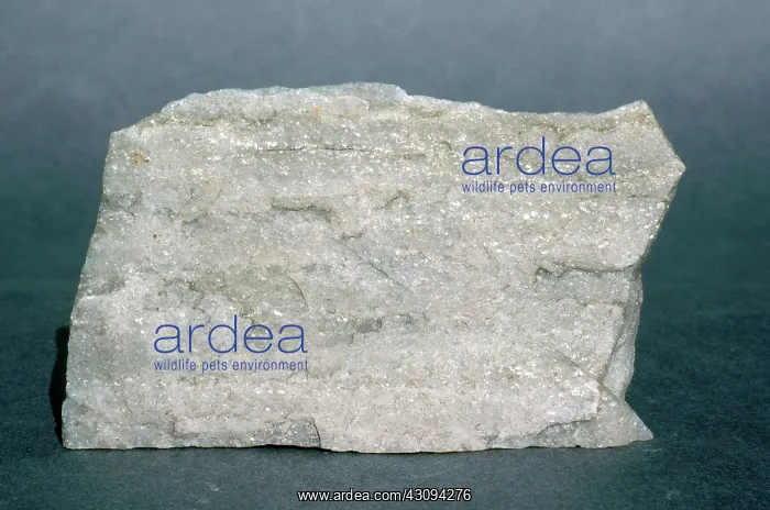 : Micaceous Quartzite : Micaceous Quartzite