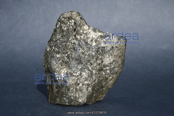  : Micaceous Quartzite