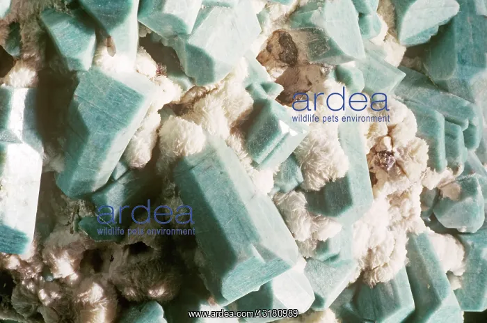 : Microcline : Microcline