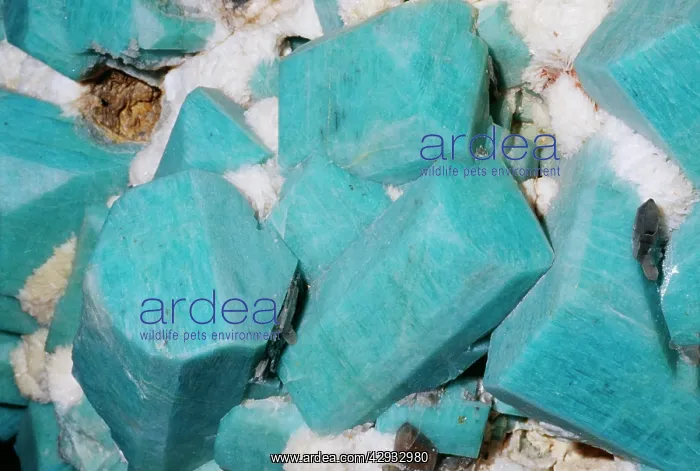 : Microcline, with Albite. K Al Si3 O8 : Microcline, with Albite. K Al Si3 O8