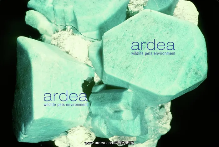 : Microcline Feldspar : Microcline Feldspar