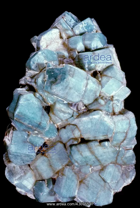 : Microcline Feldspar : Microcline Feldspar